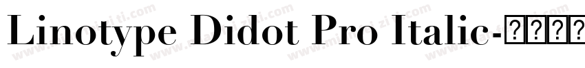 Linotype Didot Pro Italic字体转换